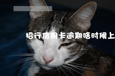招行信用卡逾期啥时候上征信 招行信用卡逾期啥时候上征信