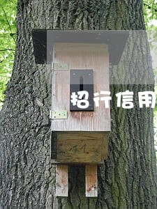 招行信用卡逾期四块钱 招行信用卡逾期四块钱