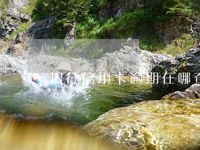 招行信用卡逾期在哪查询 招行信用卡逾期在哪查询