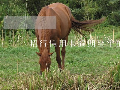 招行信用卡逾期坐牢的人 招行信用卡逾期坐牢的人