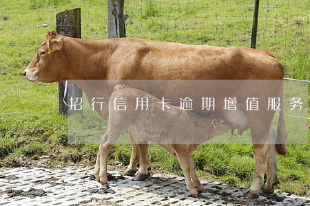 招行信用卡逾期增值服务费 招行信用卡逾期增值服务费