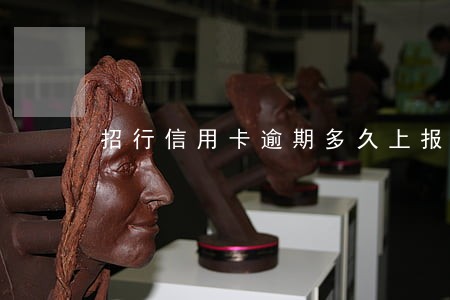 招行信用卡逾期多久上报征信 招行信用卡逾期多久上报征信