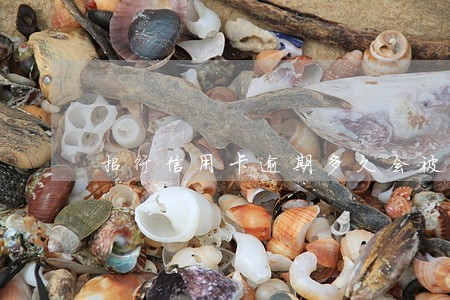 招行信用卡逾期多久会被告