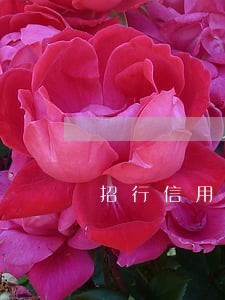 招行信用卡逾期多久停卡 招行信用卡逾期多久停卡