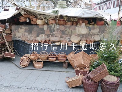 招行信用卡逾期多久协商最好 招行信用卡逾期多久协商最好