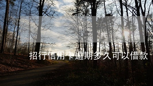 招行信用卡逾期多久可以借款 招行信用卡逾期多久可以借款