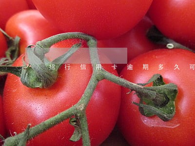招行信用卡逾期多久可以再用 招行信用卡逾期多久可以再用