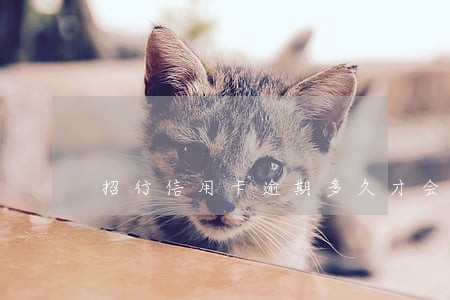 招行信用卡逾期多久才会联系家 招行信用卡逾期多久才会联系家
