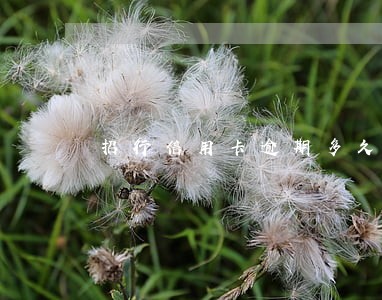 招行信用卡逾期多久打联系人电话 招行信用卡逾期多久打联系人电话