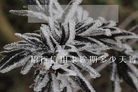 招行信用卡逾期多少天暂停使用