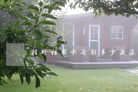 招行信用卡逾期多少次冻卡