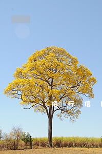 招行信用卡逾期好协商么 招行信用卡逾期好协商么