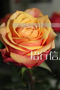 招行信用卡逾期如何协商重新分期