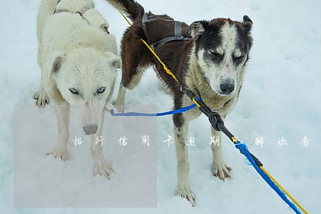 招行信用卡逾期已转法务部