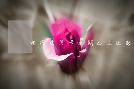 招行信用卡逾期已还还能办卡吗 招行信用卡逾期已还还能办卡吗
