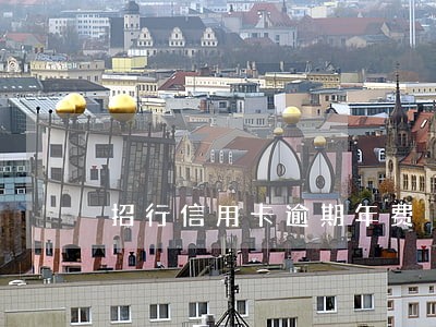招行信用卡逾期年费