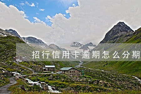 招行信用卡逾期怎么分期 招行信用卡逾期怎么分期