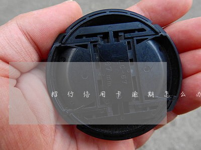 招行信用卡逾期怎么办分期