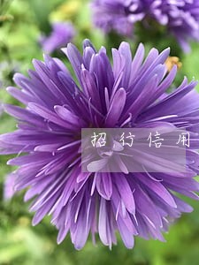 招行信用卡逾期怎么算息 招行信用卡逾期怎么算息