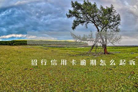 招行信用卡逾期怎么起诉 招行信用卡逾期怎么起诉