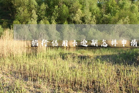 招行信用卡逾期怎样申请免息 招行信用卡逾期怎样申请免息