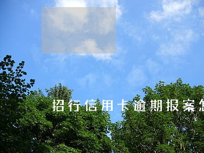 招行信用卡逾期报案怎么办 招行信用卡逾期报案怎么办