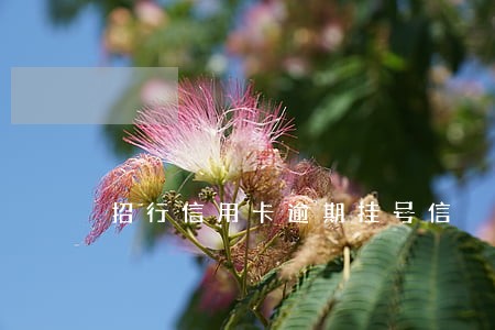 招行信用卡逾期挂号信 招行信用卡逾期挂号信