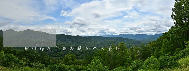 招行信用卡逾期提交个人资料 招行信用卡逾期提交个人资料