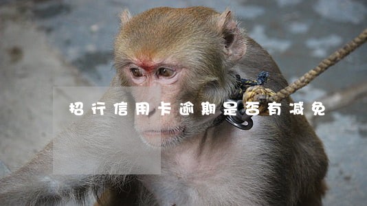 招行信用卡逾期是否有减免 招行信用卡逾期是否有减免