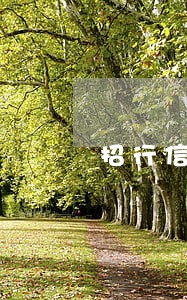 招行信用卡逾期未还款后果 招行信用卡逾期未还款后果