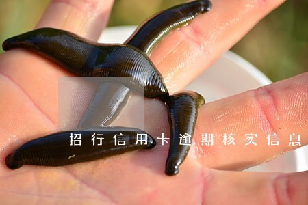 招行信用卡逾期核实信息