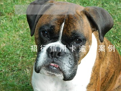 招行信用卡逾期案例 招行信用卡逾期案例