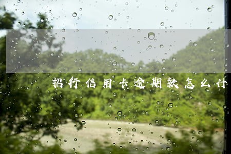 招行信用卡逾期款怎么计算 招行信用卡逾期款怎么计算
