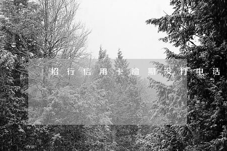 招行信用卡逾期没打电话 招行信用卡逾期没打电话