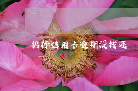 招行信用卡逾期没钱还 招行信用卡逾期没钱还