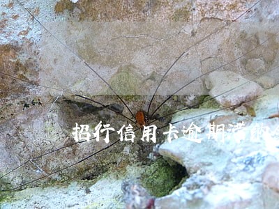 招行信用卡逾期滞纳金 招行信用卡逾期滞纳金