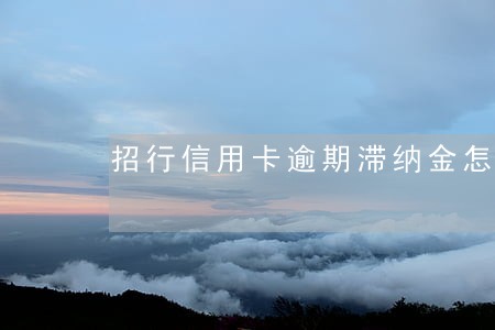 招行信用卡逾期滞纳金怎么算