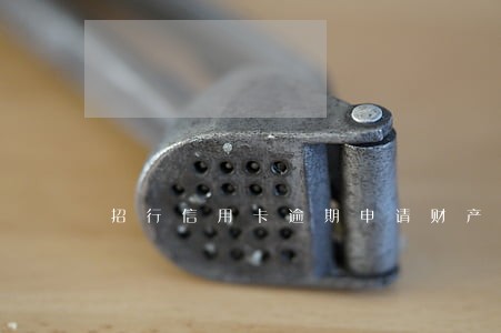 招行信用卡逾期申请财产保全 招行信用卡逾期申请财产保全