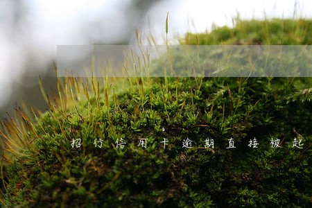 招行信用卡逾期直接被起诉 招行信用卡逾期直接被起诉