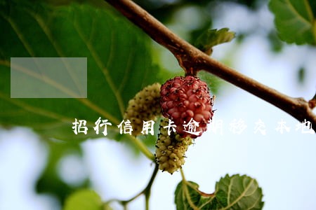 招行信用卡逾期移交本地法务部 招行信用卡逾期移交本地法务部