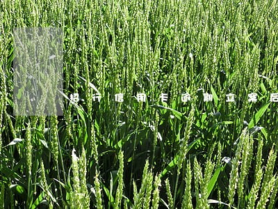 招行信用卡逾期立案后还钱 招行信用卡逾期立案后还钱