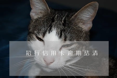 招行信用卡逾期结清 招行信用卡逾期结清
