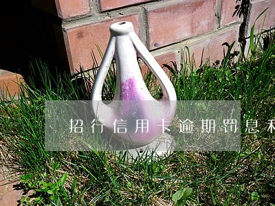 招行信用卡逾期罚息利率 招行信用卡逾期罚息利率