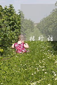 招行信用卡逾期联系亲友 招行信用卡逾期联系亲友
