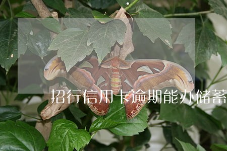 招行信用卡逾期能办储蓄卡吗6