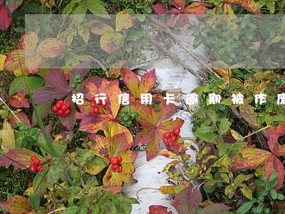 招行信用卡逾期被作废