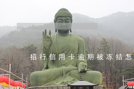招行信用卡逾期被冻结怎么办 招行信用卡逾期被冻结怎么办