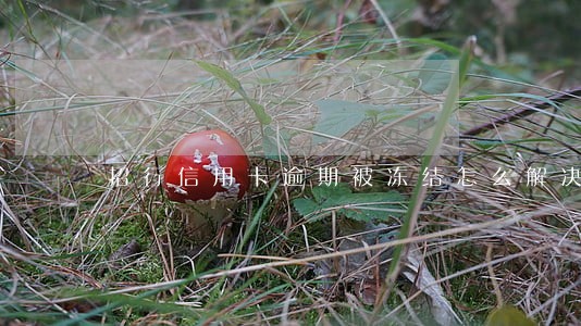 招行信用卡逾期被冻结怎么解决 招行信用卡逾期被冻结怎么解决