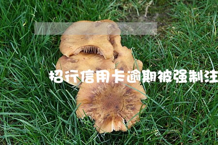招行信用卡逾期被强制注销 招行信用卡逾期被强制注销