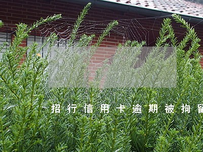 招行信用卡逾期被拘留